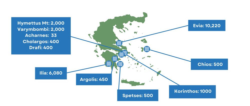 Plant a Tree in Greece Plantings so far