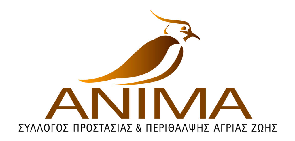 ANIMA