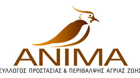 ANIMA